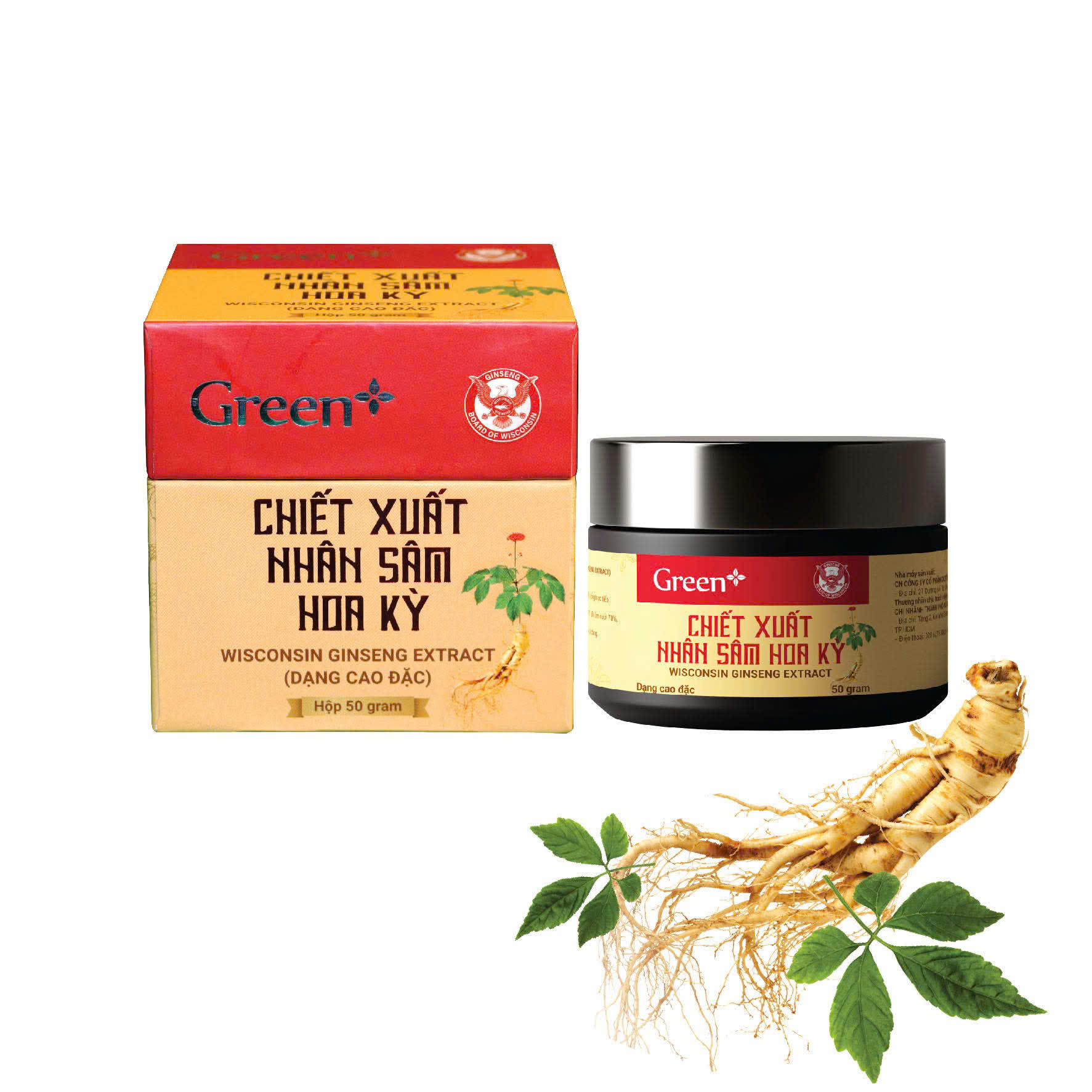 Green chiết xuất hồng sâm Hoa Kỳ
